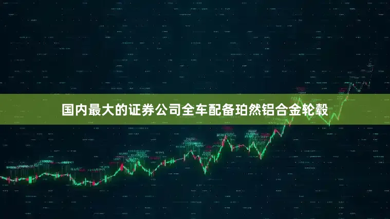 国内最大的证券公司全车配备珀然铝合金轮毂