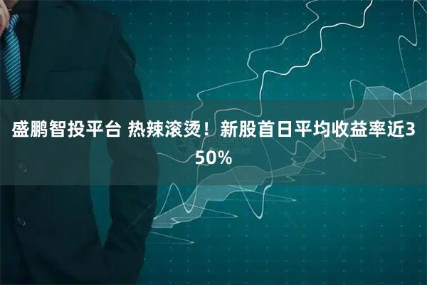 盛鹏智投平台 热辣滚烫！新股首日平均收益率近350%