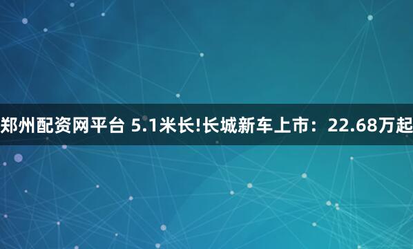 郑州配资网平台 5.1米长!长城新车上市：22.68万起