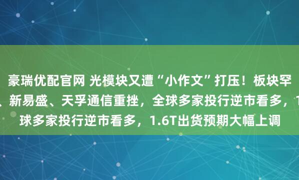豪瑞优配官网 光模块又遭“小作文”打压！板块罕见暴跌7%，中际旭创、新易盛、天孚通信重挫，全球多家投行逆市看多，1.6T出货预期大幅上调